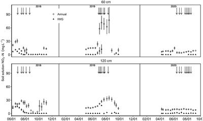 Reductions in soil water nitrate beneath a perennial grain crop compared to an annual crop rotation on sandy soil